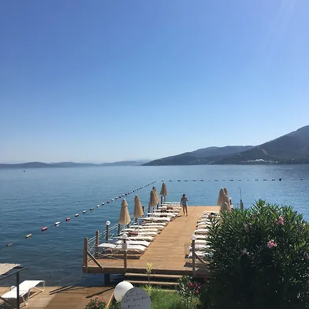 Omar & 酒店 托尔巴