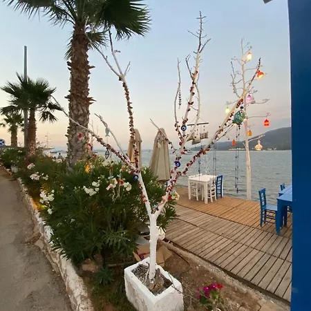 Omar & Hotel 3*