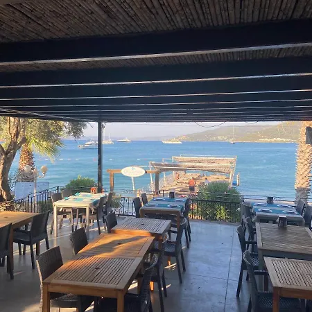 Hotel Omar & 3*