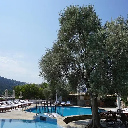 Omar & Hotel Torba