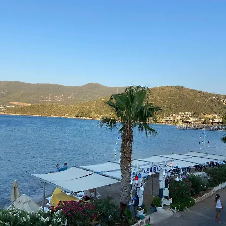 Omar & Hotel Torba