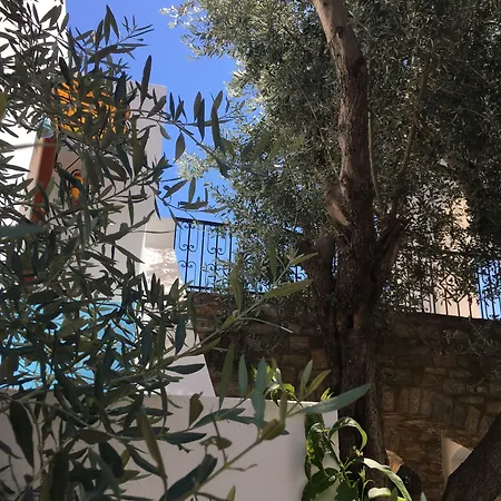Ξενοδοχείο Omar & 3*