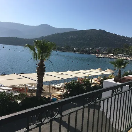 Omar & 3* Τόρμπα