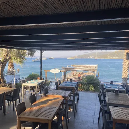 Omar & 3* توربا