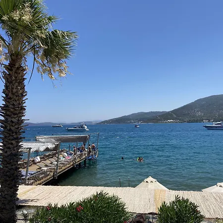 Omar & 3* Τόρμπα