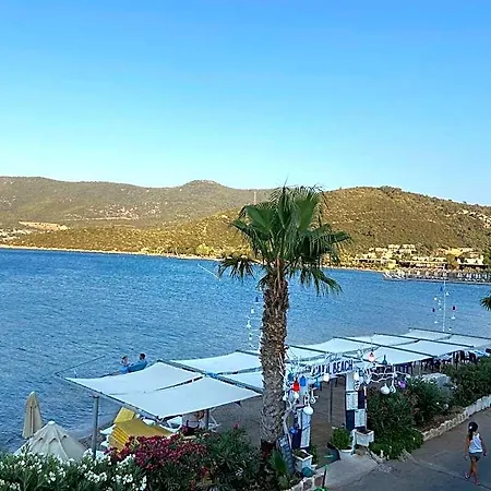 Omar & 3* Torba
