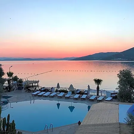 Hotel Omar & Torba