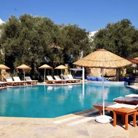 Omar & Ξενοδοχείο Τόρμπα