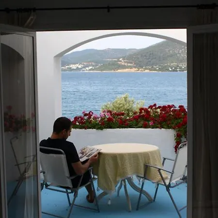 Omar & Hotel Torba
