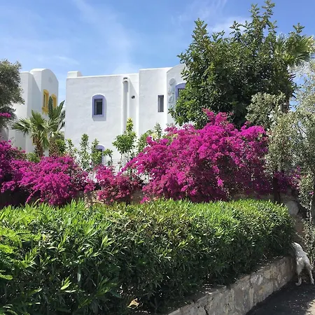 Hotel Omar & Torba