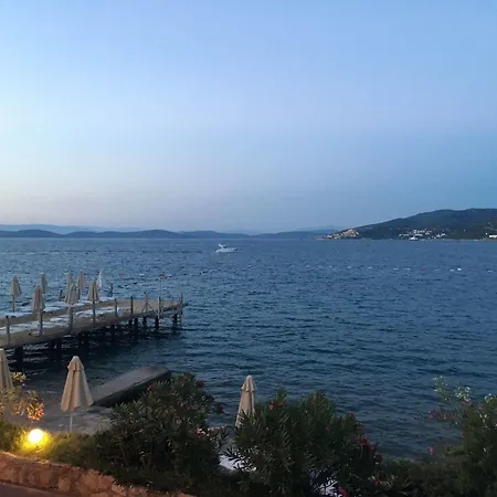 Hotel Omar &
