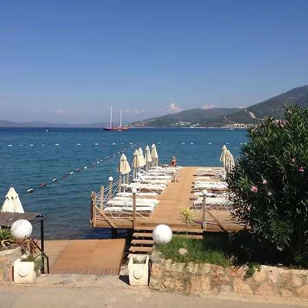 Hotel Omar &