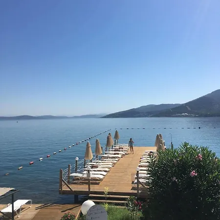 Hotel Omar & 3*