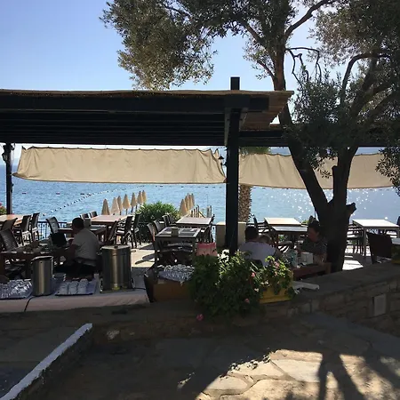 Omar & 3* Τόρμπα